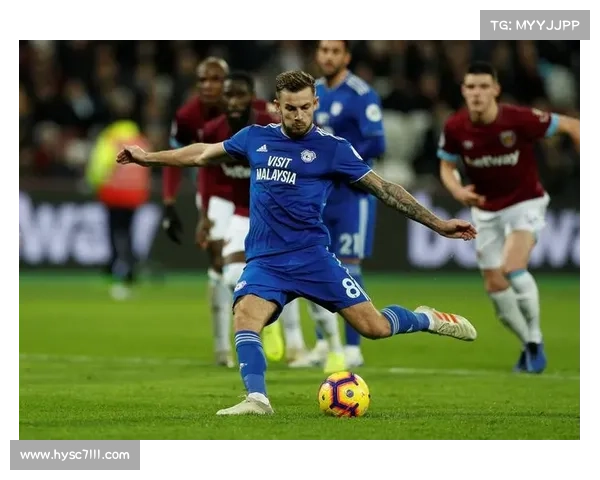 全景全面探索加的夫城足球队历年参与的多种联赛类别深度解析研究